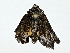  ( - BIOUG80110-H09)  @11 [ ] CreativeCommons - Attribution (2022) CBG Photography Group Centre for Biodiversity Genomics