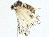  ( - BIOUG97755-E03)  @11 [ ] CreativeCommons - Attribution (2023) CBG Photography Group Centre for Biodiversity Genomics