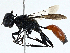 ( - BIOUG97755-F04)  @11 [ ] CreativeCommons - Attribution (2023) CBG Photography Group Centre for Biodiversity Genomics
