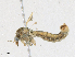  ( - CBG-A18381-D02)  @11 [ ] CreativeCommons - Attribution Share - Alike (2023) CBG Photography Group Centre for Biodiversity Genomics