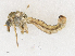  ( - CBG-A18381-G07)  @11 [ ] CreativeCommons - Attribution Share - Alike (2023) CBG Photography Group Centre for Biodiversity Genomics
