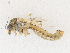  ( - CBG-A18381-G09)  @11 [ ] CreativeCommons - Attribution Share - Alike (2023) CBG Photography Group Centre for Biodiversity Genomics