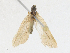  ( - CBG-A16677-E02)  @11 [ ] CreativeCommons - Attribution Share - Alike (2023) CBG Photography Group Centre for Biodiversity Genomics