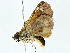  ( - BIOUG97754-D08)  @11 [ ] CreativeCommons - Attribution (2022) CBG Photography Group Centre for Biodiversity Genomics