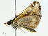  ( - BIOUG97754-E02)  @11 [ ] CreativeCommons - Attribution (2022) CBG Photography Group Centre for Biodiversity Genomics