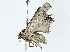  ( - BIOUG97756-F12)  @11 [ ] CreativeCommons - Attribution (2023) CBG Photography Group Centre for Biodiversity Genomics