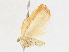  ( - CBG-A15036-E04)  @11 [ ] CreativeCommons - Attribution Share - Alike (2023) CBG Photography Group Centre for Biodiversity Genomics