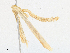  ( - CBG-A17496-G01)  @11 [ ] CreativeCommons - Attribution Share - Alike (2023) CBG Photography Group Centre for Biodiversity Genomics