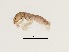  ( - BIOUG00331-B10)  @12 [ ] Unspecified (default): All Rights Reserved  Unspecified Unspecified