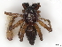  ( - CBG-A30141-H06)  @11 [ ] CreativeCommons - Attribution Share-Alike (2024) CBG Photography Group Centre for Biodiversity Genomics