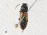  ( - CBG-A31782-C05)  @11 [ ] CreativeCommons - Attribution Share - Alike (2024) CBG Photography Group Centre for Biodiversity Genomics