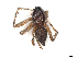  ( - CBG-A31782-H06)  @11 [ ] CreativeCommons - Attribution Share-Alike (2024) CBG Photography Group Centre for Biodiversity Genomics