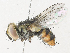  ( - CBG-A31795-F09)  @11 [ ] CreativeCommons - Attribution Share - Alike (2024) CBG Photography Group Centre for Biodiversity Genomics
