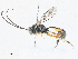  ( - CBG-A31795-G01)  @11 [ ] CreativeCommons - Attribution Share - Alike (2024) CBG Photography Group Centre for Biodiversity Genomics