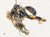  ( - CBG-A31796-A02)  @11 [ ] CreativeCommons - Attribution Share - Alike (2024) CBG Photography Group Centre for Biodiversity Genomics