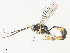  ( - CBG-A31796-B10)  @11 [ ] CreativeCommons - Attribution Share - Alike (2024) CBG Photography Group Centre for Biodiversity Genomics