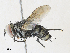  ( - CBG-A33519-C08)  @11 [ ] CreativeCommons - Attribution Share - Alike (2024) CBG Photography Group Centre for Biodiversity Genomics