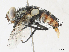  ( - CBG-A33519-F11)  @11 [ ] CreativeCommons - Attribution Share - Alike (2024) CBG Photography Group Centre for Biodiversity Genomics