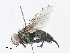  ( - CBG-A34317-A12)  @11 [ ] CreativeCommons - Attribution Share - Alike (2024) CBG Photography Group Centre for Biodiversity Genomics