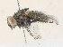  ( - CBG-A34317-C02)  @11 [ ] CreativeCommons - Attribution Share - Alike (2024) CBG Photography Group Centre for Biodiversity Genomics
