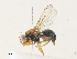  ( - CBG-A34317-D07)  @11 [ ] CreativeCommons - Attribution Share - Alike (2024) CBG Photography Group Centre for Biodiversity Genomics