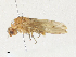  ( - CBG-A30108-C06)  @11 [ ] CreativeCommons - Attribution Share - Alike (2024) CBG Photography Group Centre for Biodiversity Genomics