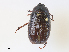  ( - CBG-A30941-A07)  @11 [ ] CreativeCommons - Attribution Share - Alike (2024) CBG Photography Group Centre for Biodiversity Genomics