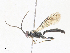  ( - CBG-A30957-H09)  @11 [ ] CreativeCommons - Attribution Share - Alike (2024) CBG Photography Group Centre for Biodiversity Genomics
