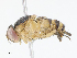  ( - BIOUG95285-G03)  @11 [ ] CreativeCommons - Attribution Share - Alike (2023) CBG Photography Group Centre for Biodiversity Genomics