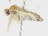  ( - BIOUG95286-F07)  @11 [ ] CreativeCommons - Attribution Share - Alike (2023) CBG Photography Group Centre for Biodiversity Genomics