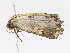  ( - BIOUG95287-E03)  @11 [ ] CreativeCommons - Attribution Share - Alike (2023) CBG Photography Group Centre for Biodiversity Genomics