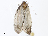  ( - CBG-A13304-C10)  @11 [ ] CreativeCommons - Attribution Share - Alike (2023) CBG Photography Group Centre for Biodiversity Genomics