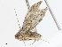  ( - CBG-A13304-D02)  @11 [ ] CreativeCommons - Attribution Share - Alike (2023) CBG Photography Group Centre for Biodiversity Genomics