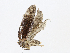  ( - CBG-A13304-D07)  @11 [ ] CreativeCommons - Attribution Share - Alike (2023) CBG Photography Group Centre for Biodiversity Genomics