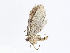  ( - CBG-A13304-D11)  @11 [ ] CreativeCommons - Attribution Share - Alike (2023) CBG Photography Group Centre for Biodiversity Genomics