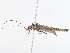  ( - CBG-A13308-F01)  @11 [ ] CreativeCommons - Attribution Share - Alike (2023) CBG Photography Group Centre for Biodiversity Genomics