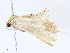  ( - CBG-A13353-F09)  @11 [ ] CreativeCommons - Attribution Share - Alike (2023) CBG Photography Group Centre for Biodiversity Genomics