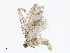  ( - CBG-A13354-E06)  @11 [ ] CreativeCommons - Attribution Share - Alike (2023) CBG Photography Group Centre for Biodiversity Genomics