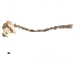  ( - CBG-A14959-H03)  @11 [ ] CreativeCommons - Attribution Share - Alike (2023) CBG Photography Group Centre for Biodiversity Genomics