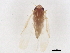  ( - BIOUG42256-D03)  @11 [ ] CreativeCommons - Attribution (2021) CBG Photography Group Centre for Biodiversity Genomics