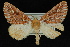  ( - 09-JDWGEO-396)  @14 [ ] CreativeCommons - Attribution (2010) Unspecified University of British Columbia
