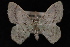  ( - 09-JDWGEO-307)  @13 [ ] CreativeCommons - Attribution (2010) Unspecified University of British Columbia