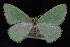  ( - 09-JDWGEO-308)  @13 [ ] CreativeCommons - Attribution (2010) Unspecified University of British Columbia