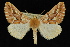  ( - 09-JDWGEO-403)  @15 [ ] CreativeCommons - Attribution (2010) Unspecified University of British Columbia