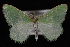  ( - 09-JDWGEO-309)  @13 [ ] CreativeCommons - Attribution (2010) Unspecified University of British Columbia
