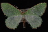  ( - 09-JDWGEO-310)  @13 [ ] CreativeCommons - Attribution (2010) Unspecified University of British Columbia