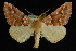  ( - 09-JDWGEO-406)  @14 [ ] CreativeCommons - Attribution (2010) Unspecified University of British Columbia