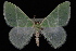  ( - 09-JDWGEO-312)  @11 [ ] CreativeCommons - Attribution (2010) Unspecified University of British Columbia