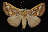  ( - 09-JDWGEO-409)  @11 [ ] CreativeCommons - Attribution (2010) Unspecified University of British Columbia