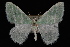  ( - 09-JDWGEO-319)  @13 [ ] CreativeCommons - Attribution (2010) Unspecified University of British Columbia